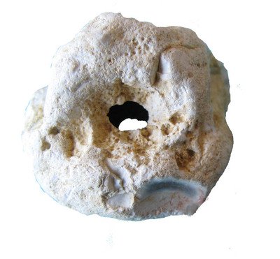 Cailloux_tetemars_07_1_petit_fich_3