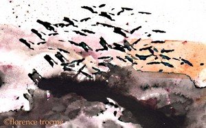 030505gaspar_aquarelle 030505gaspar_aquarelle