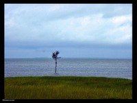 03_jaccottet
