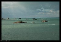 05_esteban_1 05_esteban_1