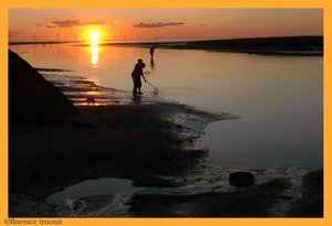 06_gouttebaron_2 06_gouttebaron_2