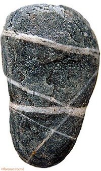 090305galet_dickinson_1