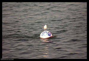14_roubaud_2 14_roubaud_2