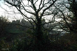 150106_marie_claire_bancquart