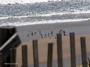 200405droguet_copie_1