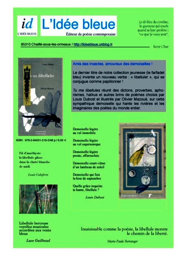 Newsletter_libellule_copie